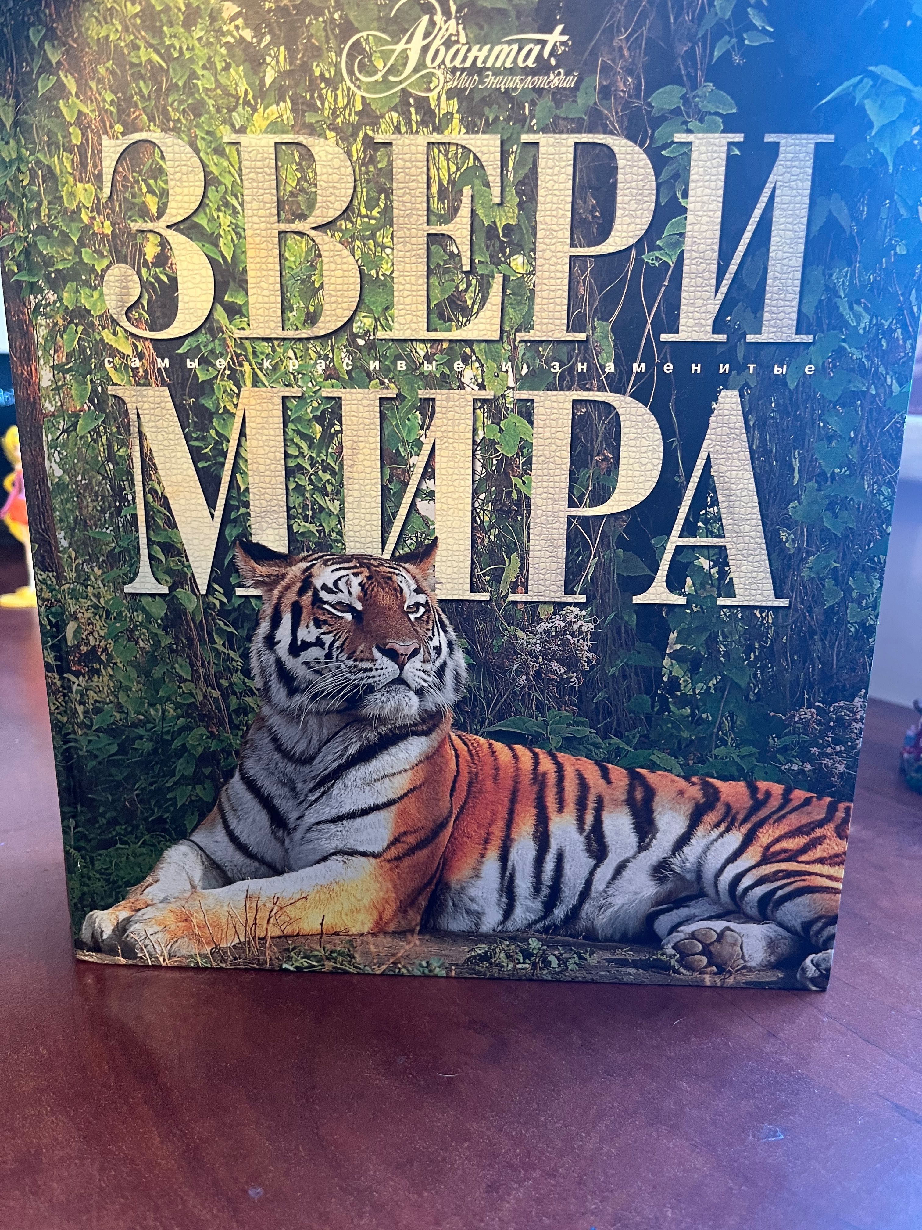 Дві цікаві книжки для дітей