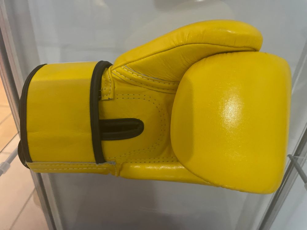 Rękawice bokserskie Fairtex BGV1