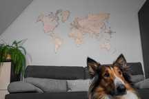 Nowa drewniana mapa świata 210x126cm  Prezent-grawer Państw
