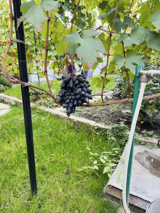 Пропонуємо до продажу будинок в м. Сміла