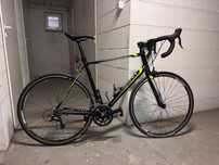 Rower Giant Defy 2014
