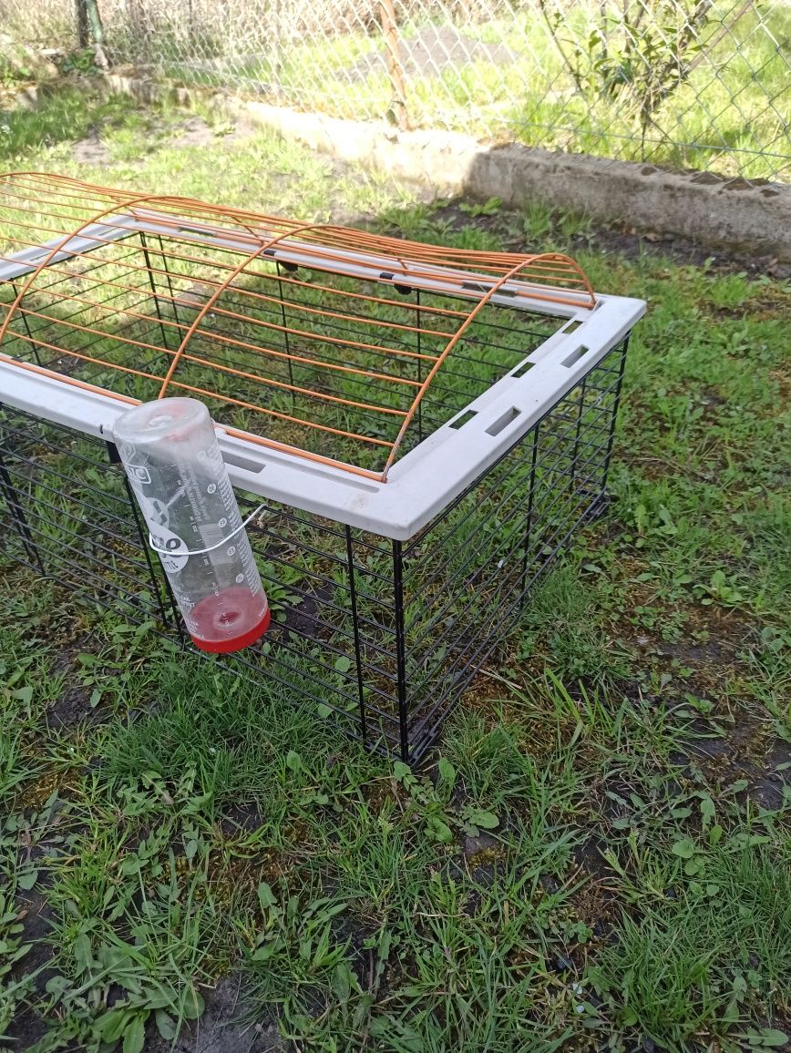 Klatka dla królika wybieg bez kuwety