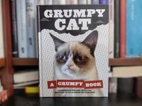 Crumpy cat. A Grumpy book