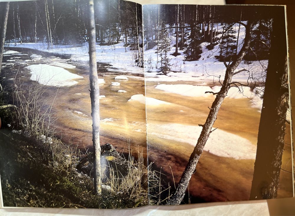 Мелодии русского леса The Music of the Russian Forest Фотоальбом