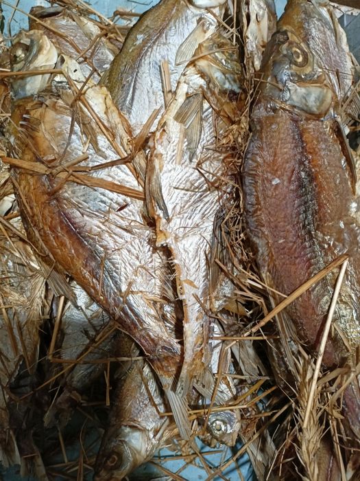 Риба сушена в печі, риба печена, копчена