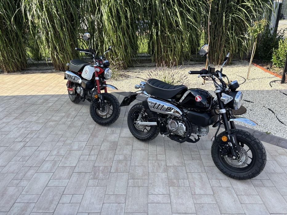 Wynajem motocykla Honda Monkey 125