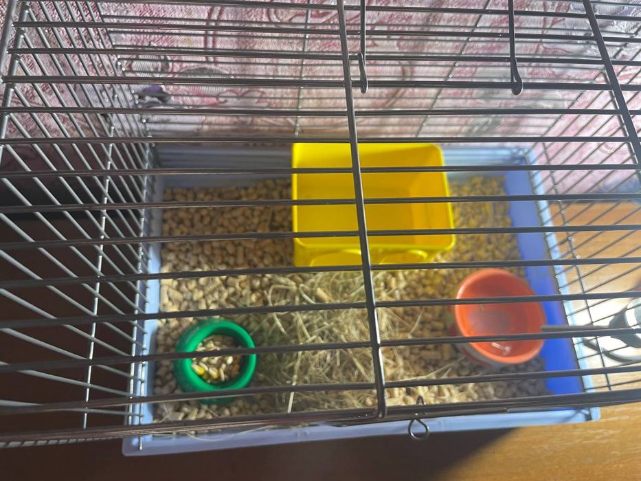 Продаю клетку для хомяка