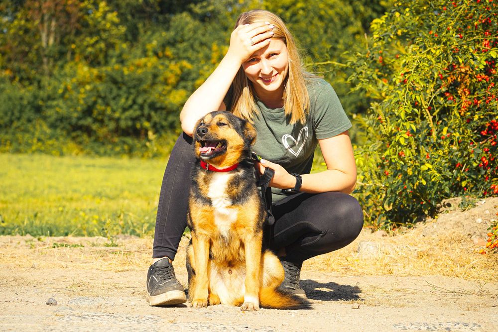 Bazyl Wyjątkowy, Łagodny Psiak Szuka Domu