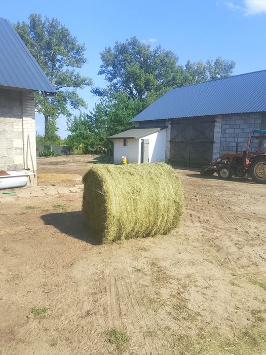 Siano kostka transport bele