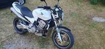 Hornet 900 podobne modele cb 900 z 800 z 750 fz6 cb 750 hornet 600