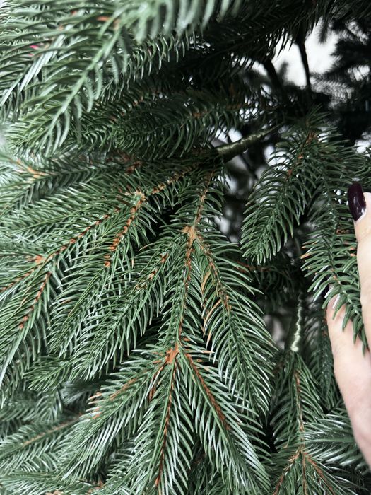 Ялинка лита нова 2.1 м Рояль Мега