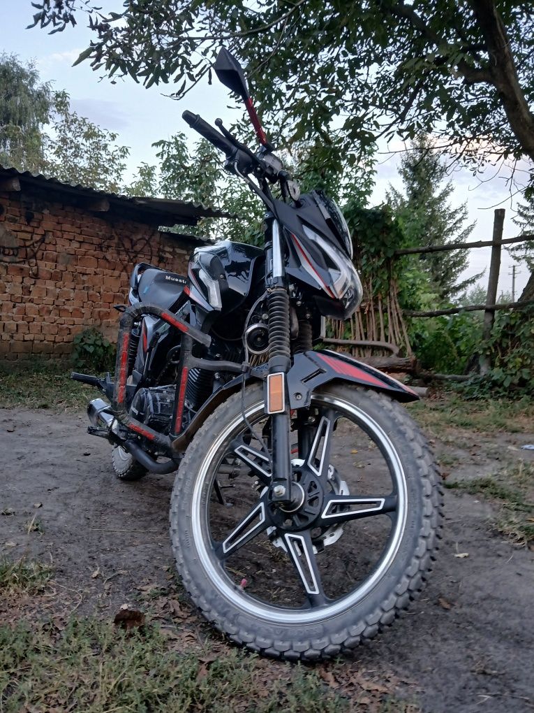 Musstang Region 200