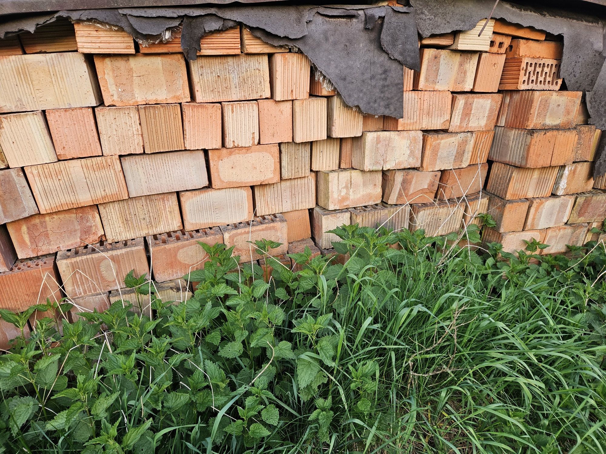 Cegła typu phorotherm 12x24x14