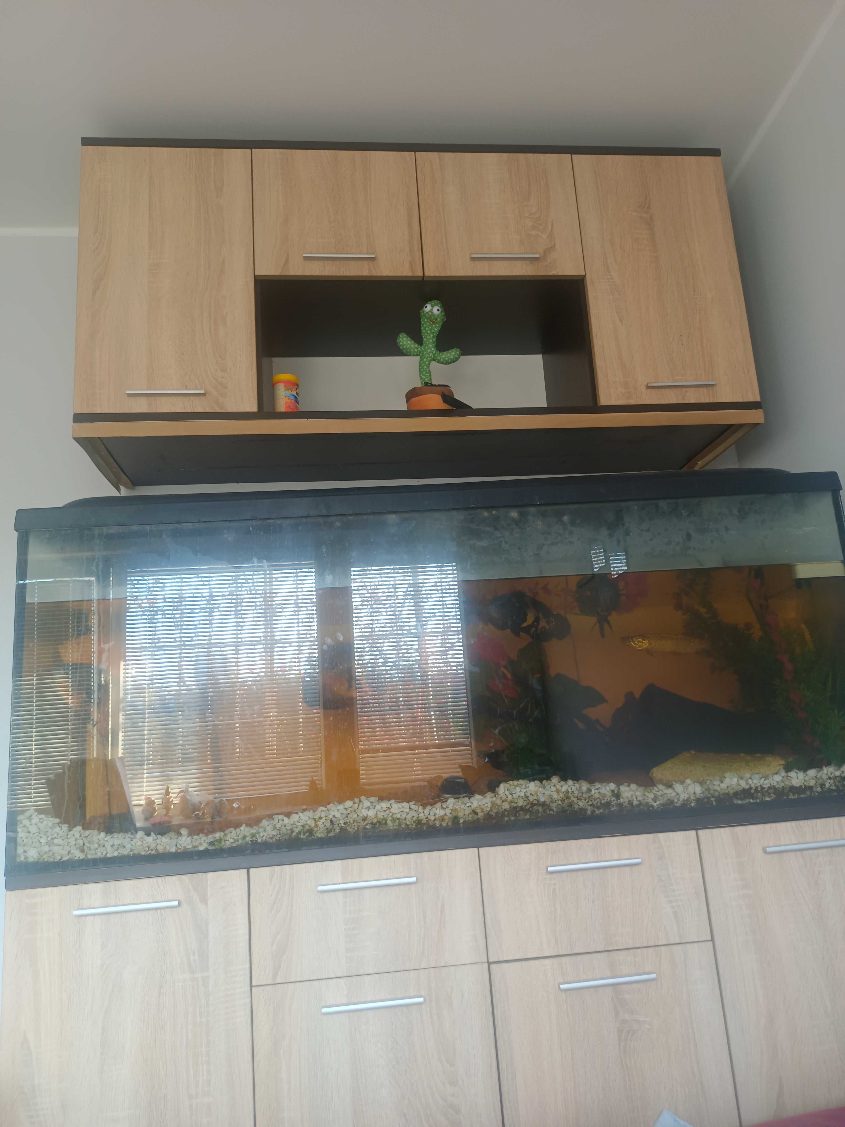 Akwarium 450l z życiem regał w komplecie stan bdb