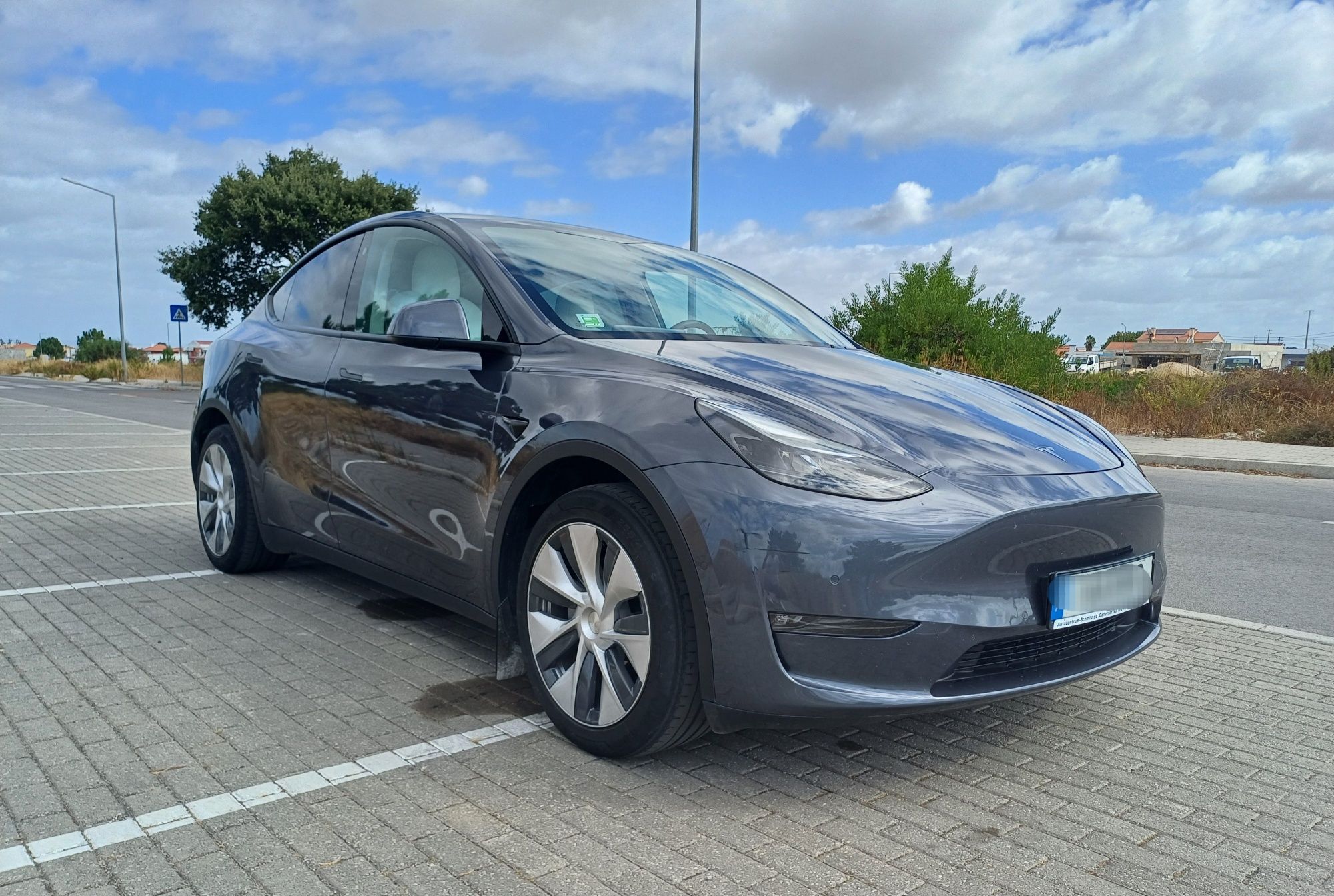 TESLA Y Dual Motor