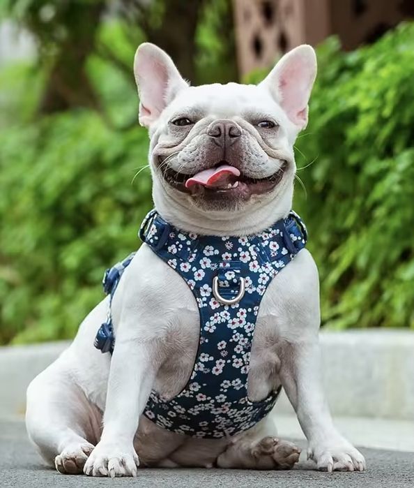 Nowe #SZELKI dla PSA #mocne BEZUCISKOWE,regulowane rozm S