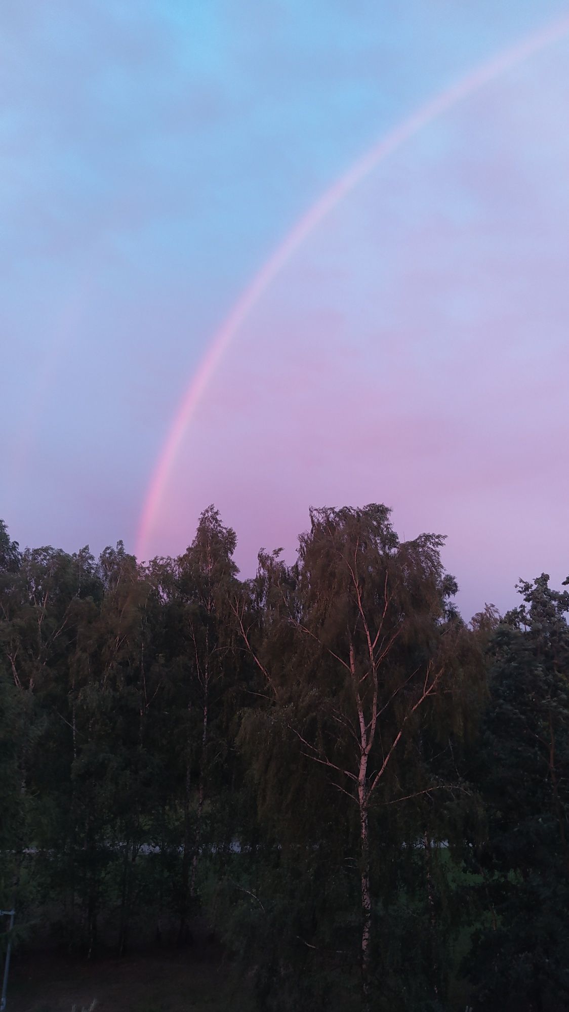 Spodenki dżinsowe krótkie