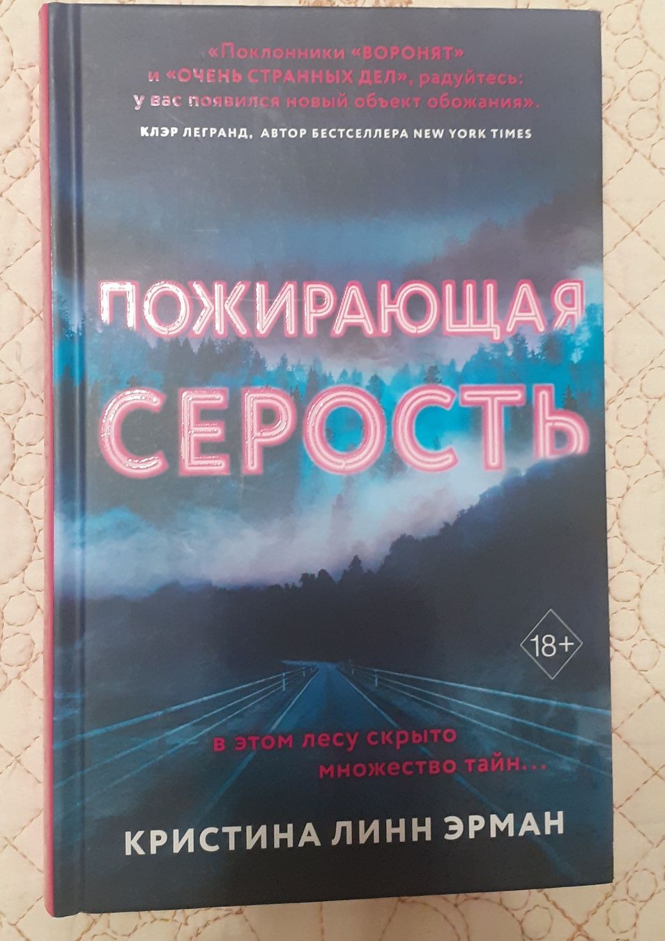 Книга Крістіни Лінн Ерман "Пожираюча сірість"