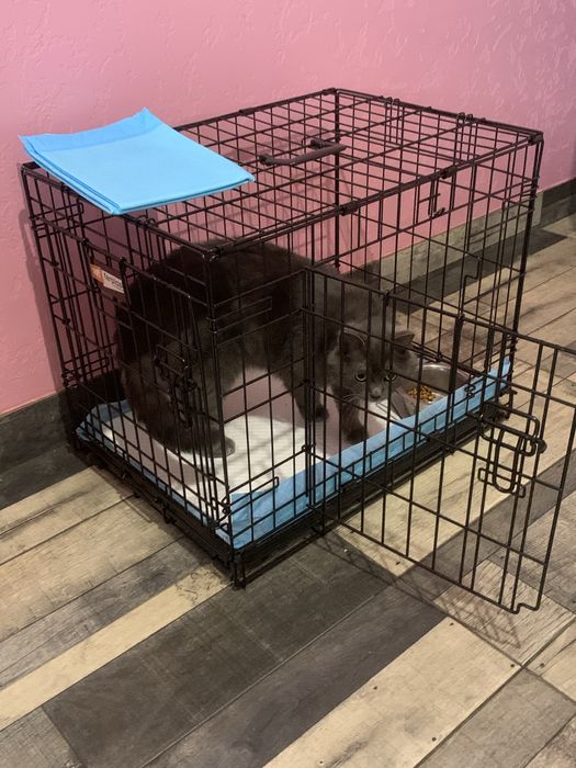 Клітка для тварин