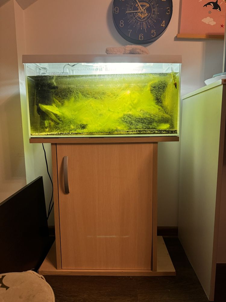 Akwarium 60l Aquael + filtr + oświetlenie