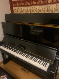 Piano Yamaha U3 Maravilhoso