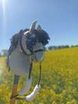 Hobby Horse zamienię