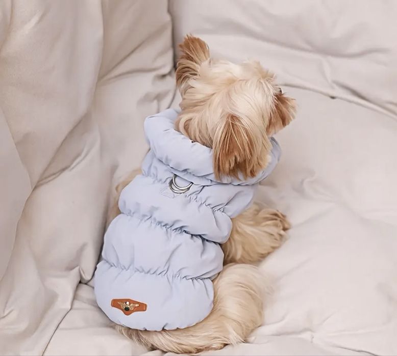 Жилетка для собак