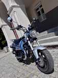 Honda ST 125 Dax 2023