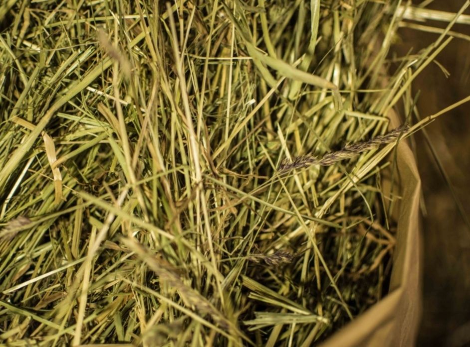 СІНО З ДОСТАВКОЮ від 1 шт в тюках мешках, сено (могары и др виды)