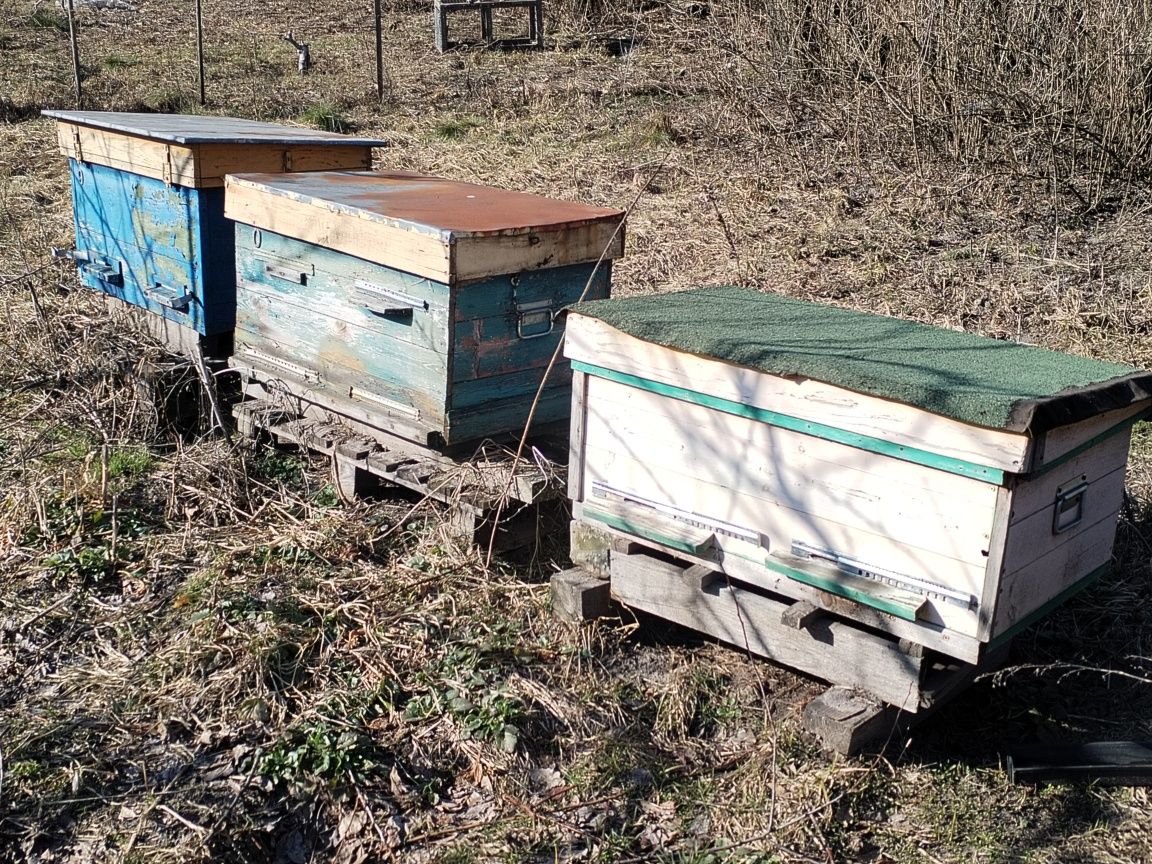 Вулики в доброму стані з рамками.