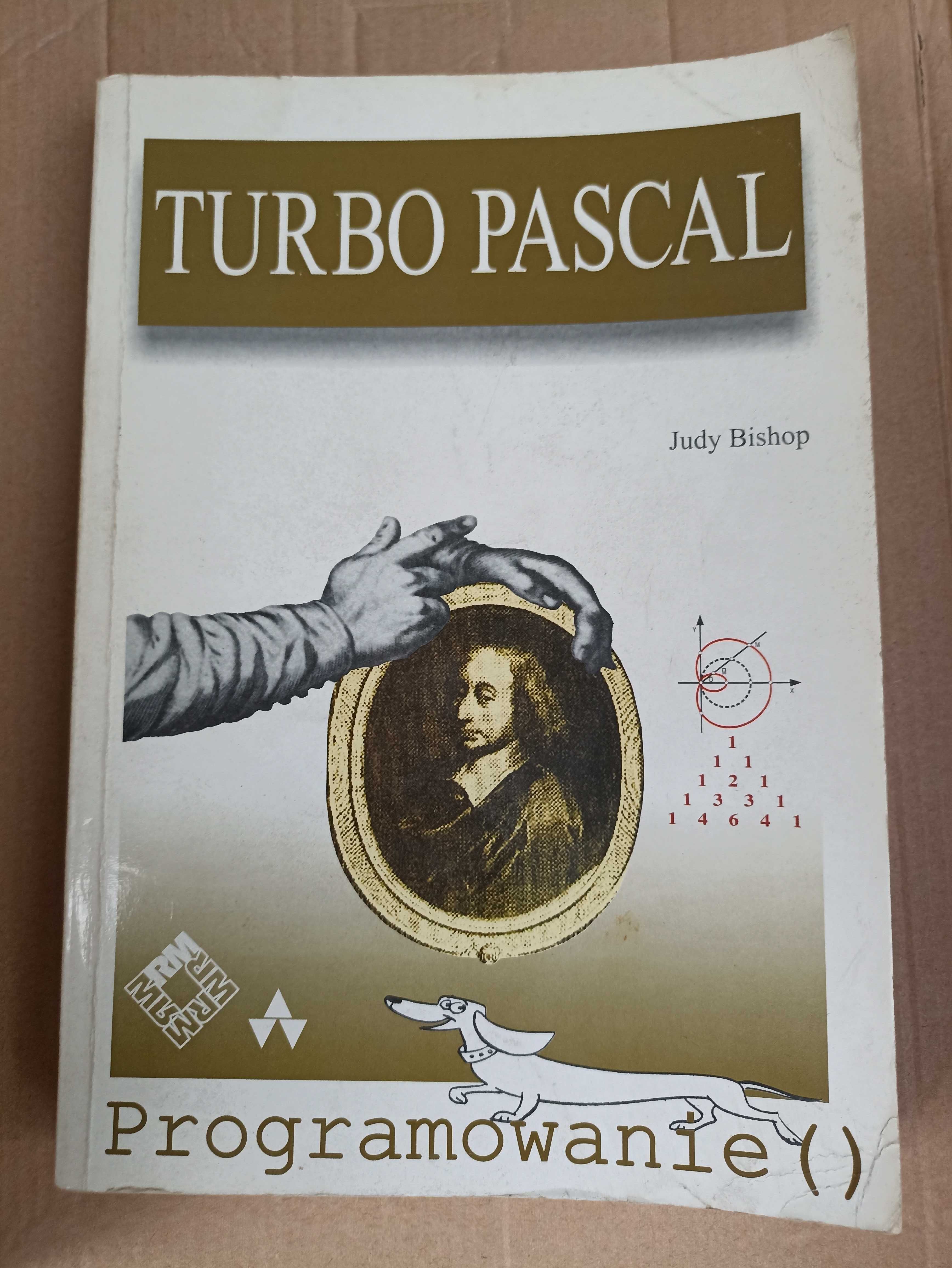 Książka Turbo Pascal programowanie - Judy Bishop