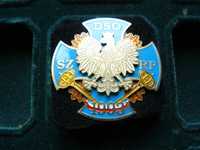 Odznaka DSO 1993