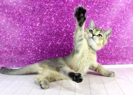 Чудова малеча-хлопчик