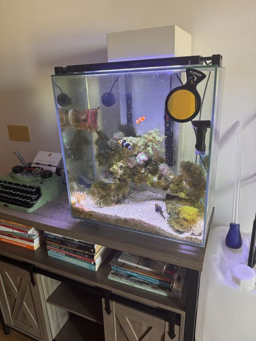 Aquario fluval edge 42litros