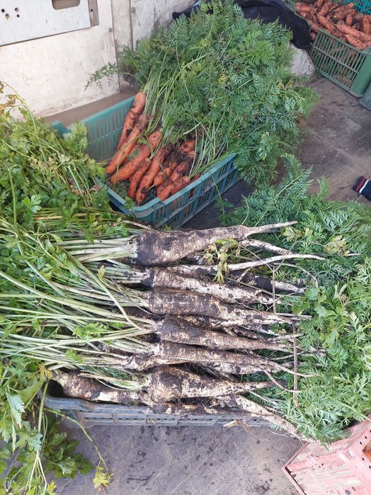 Box warzyw od rolnika