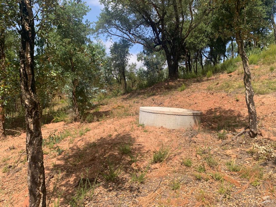 Terreno misto com 11460m2 e casa para recuperar - Salir de Matos