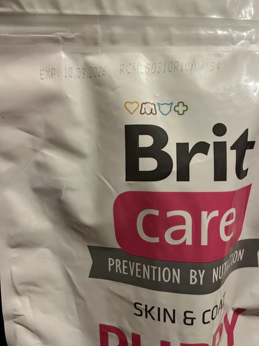 Racao cao puppy Brit