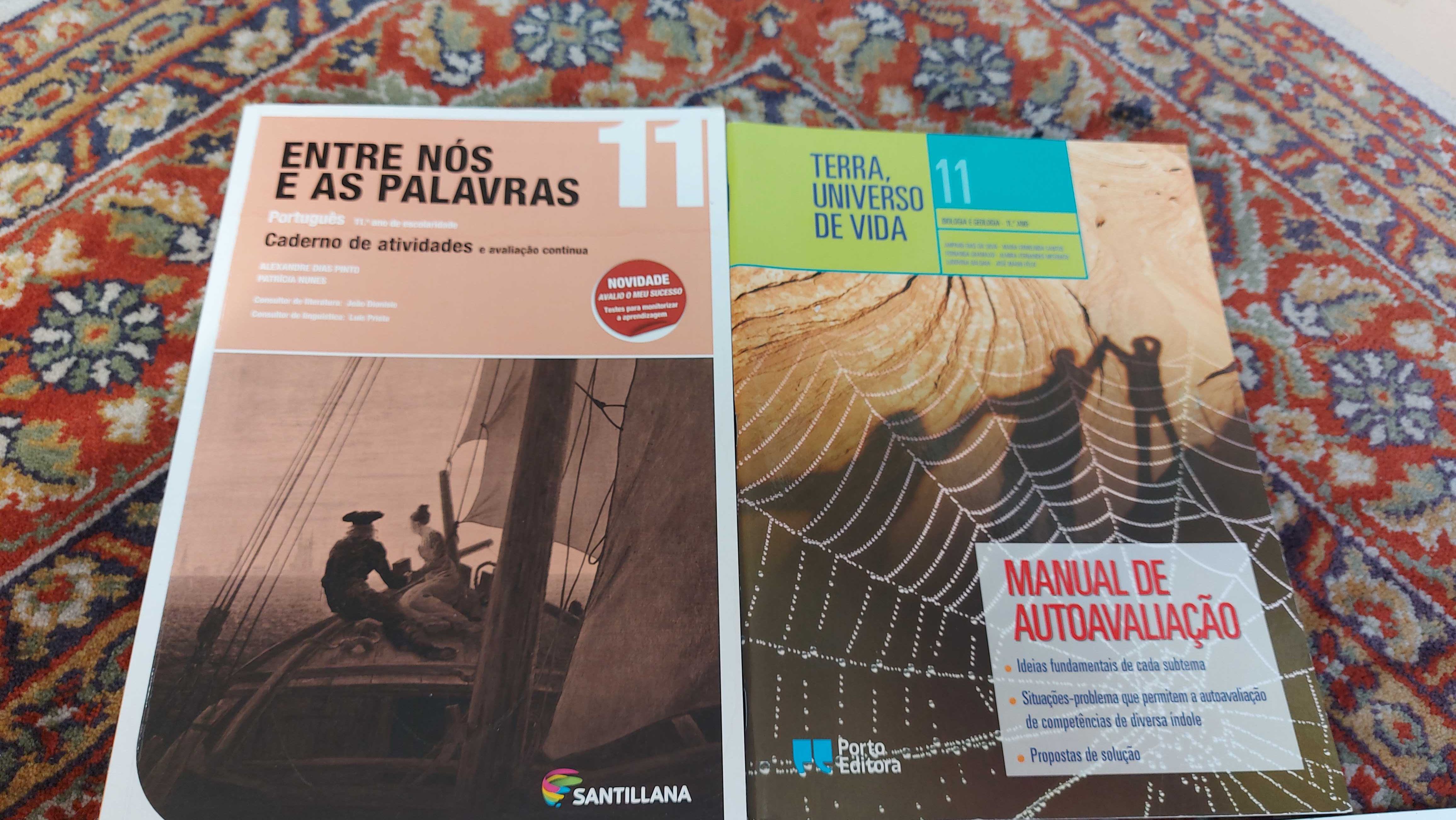 livros 11 ano como  novos