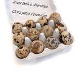 Ovos de codornizes
