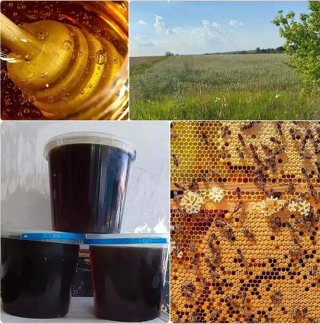 Продам Гречаний мед