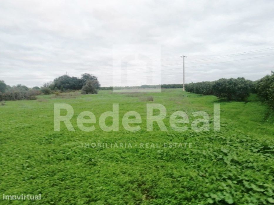 Terreno a poucos minutos de Boliqueime com acesso a água e eletrici...