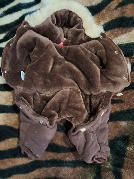 Одежда для собак