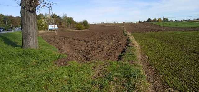 Sprzedam działkę budowlaną  w całości 1,76ha przy trasie E7 w Miechów