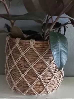 Kosz Samla Home and You