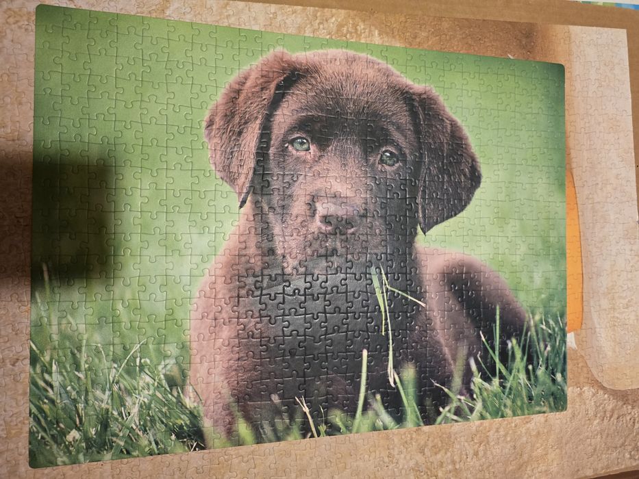 Puzzle cão bebé  cachorro