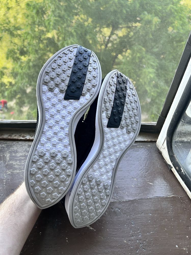 Чоловічі кросівки Nike Pegasus Turbo 2