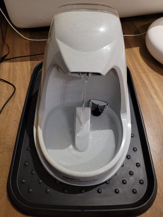 Fontanna dla kota i psa