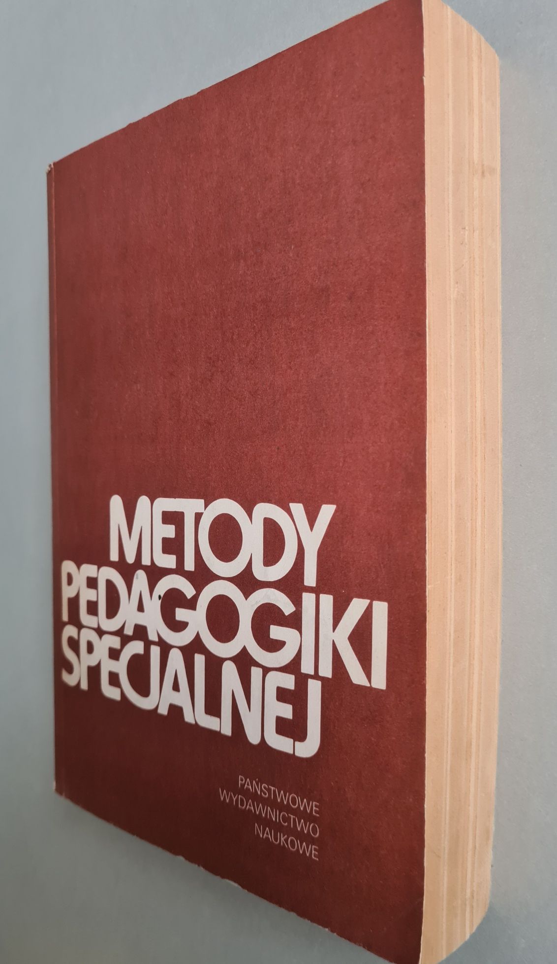 Metody pedagogiki specjalnej - Książka