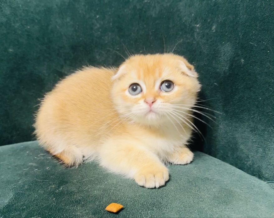 Супер ніжний хлопчик