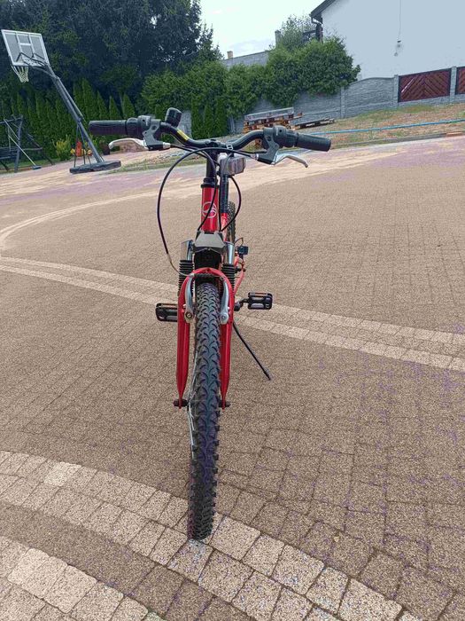 Rower górski 24'' Czerwony 250 DS